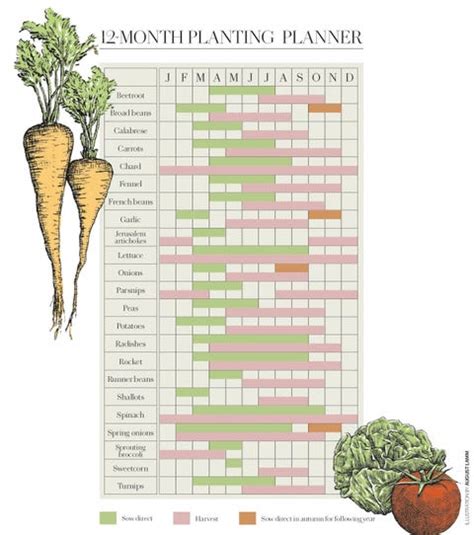 12-Month Vegetable Planting Calendar – When To Plant Vegetables