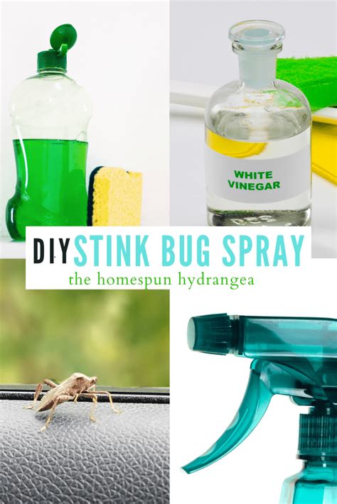 Homemade Stink Bug Repellent Spray