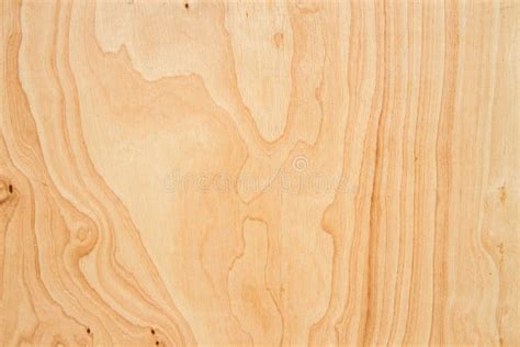 Maple wood grain texture stock photo. Image of dark, furniture - 3401804