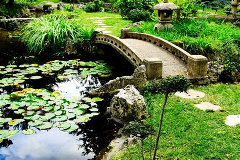 Small Arching Concrete Garden Bridge Over Lush Green Pond Editorial Photography - Image of ...