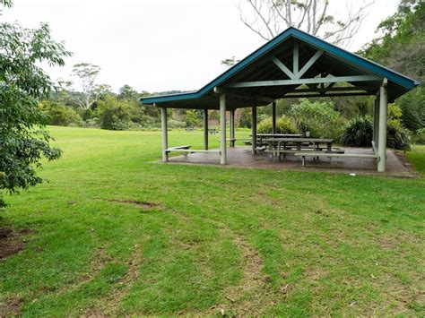 Springbrook National Park Camping Ground - Accommodation - Queensland