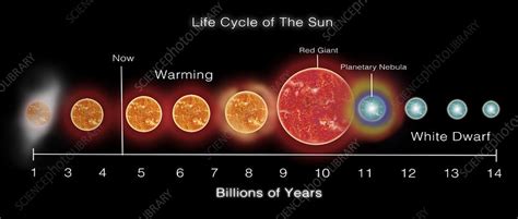 Life Cycle of Sun, Illustration - Stock Image - C033/4549 - Science ...