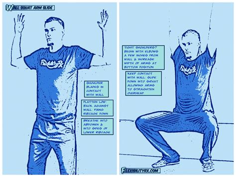 Shoulder Mobility Exercises: Scapular Wall Slides | FlexibilityRx ...