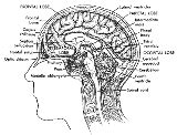 Mentat Wiki: Mnemonic Acronym