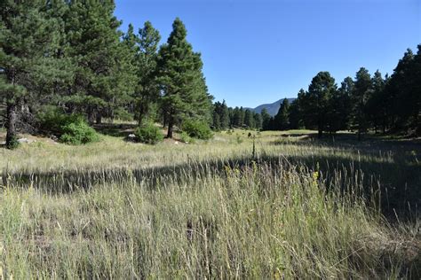 Arizona Hiking: Flagstaff Urban Trails System-Arizona Trail Loop