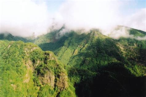 Laurisilva of Madeira | World heritage sites, Unesco world heritage centre, Madeira island