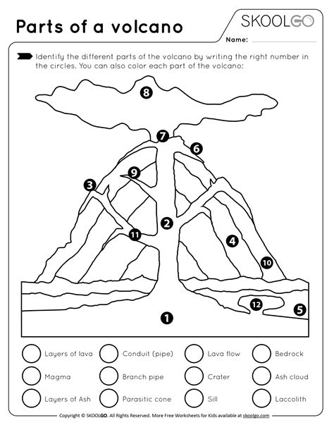 Types Of Volcanoes Worksheets
