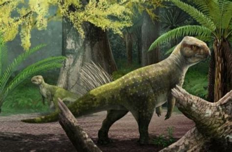 Top 10 Cutest Dinosaurs of the Mesozoic Era - Education Spike