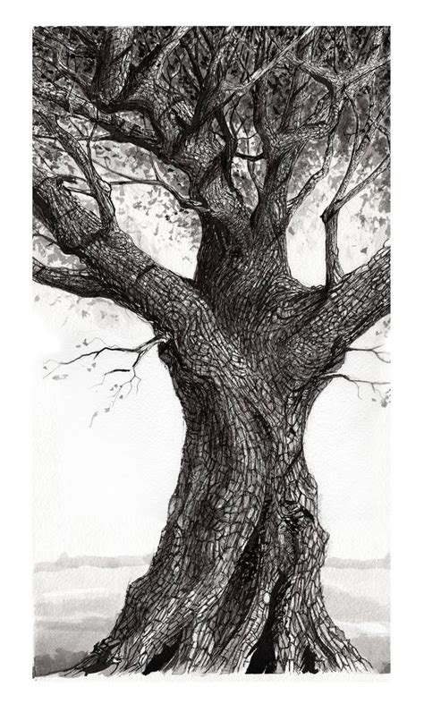 25 Idea Sketch Tree Pencil Drawing For Kids - Sketch Drawing Art