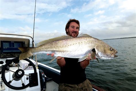 How to catch mulloway - Fishing World Australia