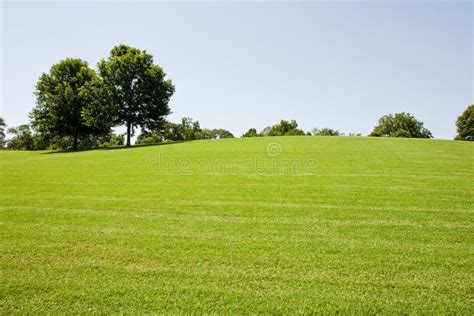 Grassy Hill In Park Royalty Free Stock Photography - Image: 11951077