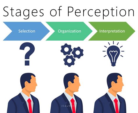 Perception: Definition, Importance, Factors, Perceptual Process, Errors