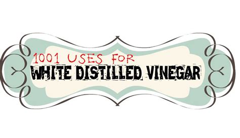 1001 Uses for White Distilled Vinegar | Cleaning hacks, Cleaning ...