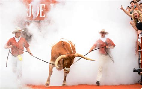 A Brief History of Bevo Behaving Badly – Texas Monthly