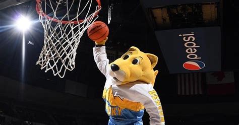 Denver Nuggets Mascot Earns More Than Some NBA and WNBA Players