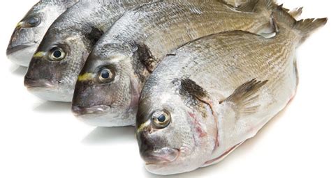 Mediterranean Sea Bream - True North Seafood - White Fish