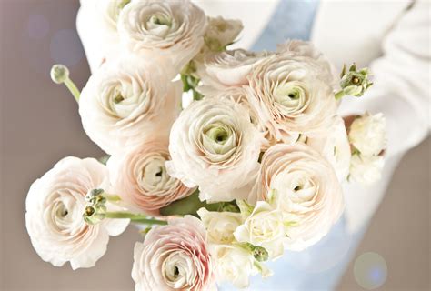 The 15 Most Popular Wedding Flowers - Gibral Flora Flowers