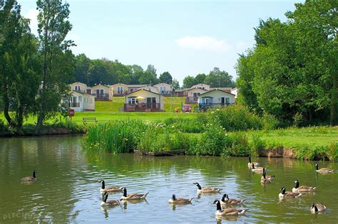 Hazelwood Holiday Park, Dawlish Warren - Pitchup®