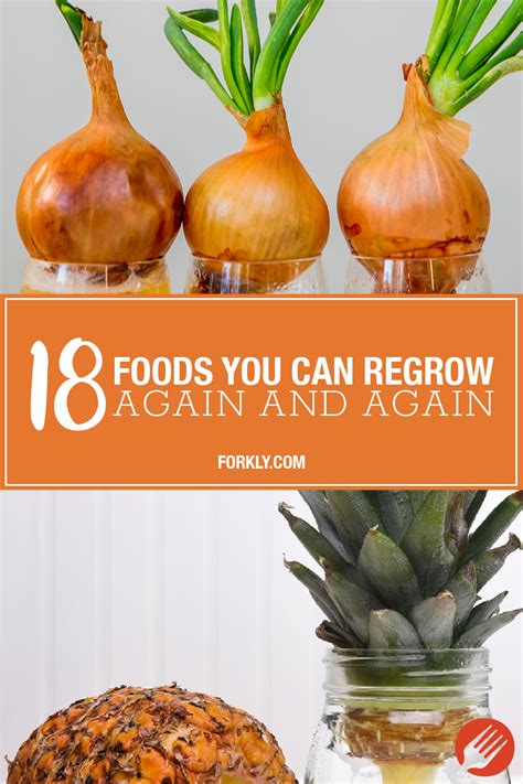 Foods You Can Regrow Again And Again - Forkly | Regrow vegetables, Food ...