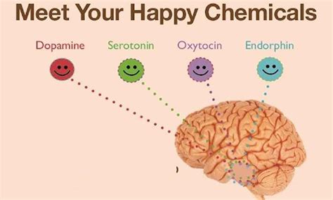 Endorphin hormone - psadoeurope