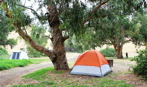 Day Trip to California’s Channel Islands National Park - Rad Family Travel