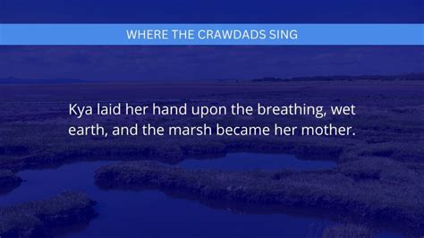 10 Best Where The Crawdads Sing Quotes Images from the Book