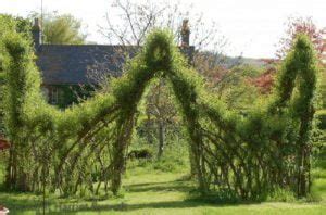 20 Beautiful Examples Of Living Willow Fences | iCreatived