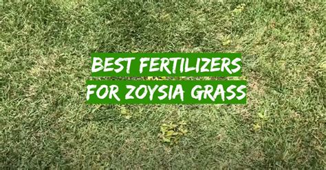 Top 5 Best Fertilizers for Zoysia Grass [November 2023 Review] - Grass ...