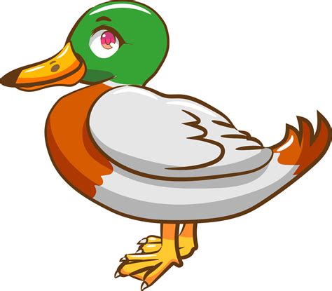 Duck png graphic clipart design 19045853 PNG