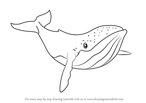 Learn How to Draw Humpback Whale from Fantasia (Fantasia) Step by Step ...