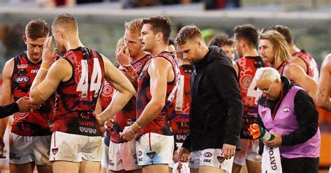 The full AFL injury list: round 11