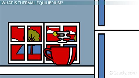 Thermal Equilibrium: Definition, Formula & Example - Video & Lesson Transcript | Study.com