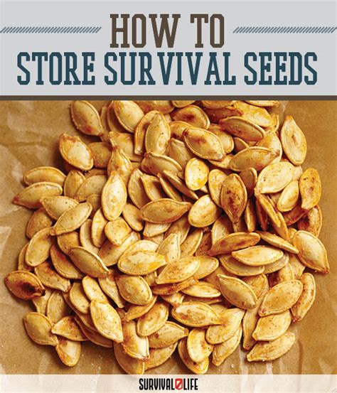 Survival Seeds Storing Techniques | Survival Life | Blog