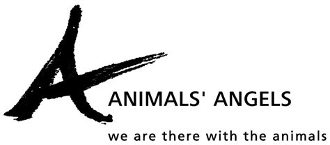 Contact us - ANIMALS‘ ANGELS