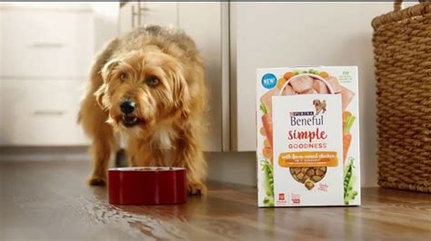 Purina Beneful TV Commercials - iSpot.tv