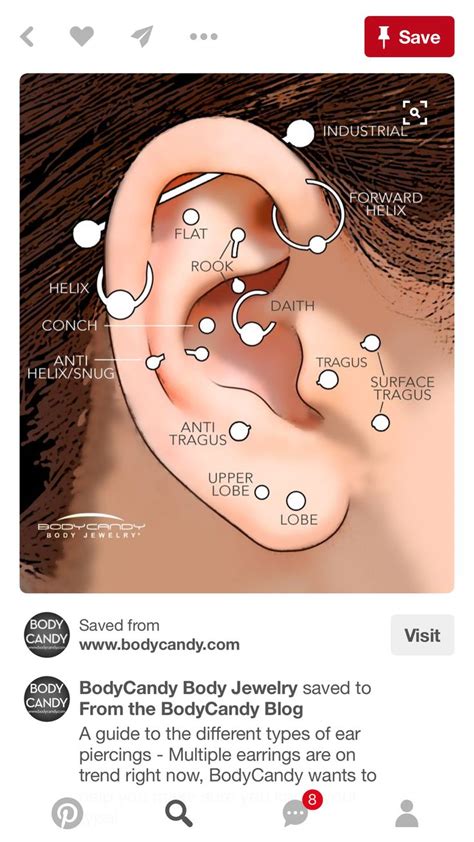 Forward helix, anti helix, seconds, rook, septum, | Types of ear piercings, Cute piercings ...