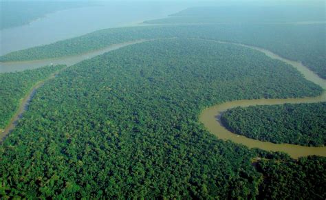 File:Aerial view of the Amazon Rainforest.jpg - Wikipedia