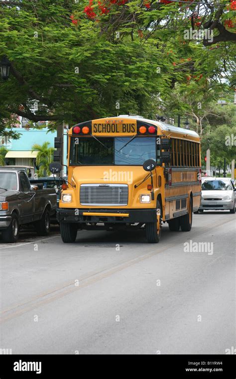 School bus New York Stock Photo - Alamy