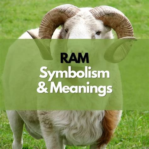 What Does a Ram Symbolize? - Symbol Genie