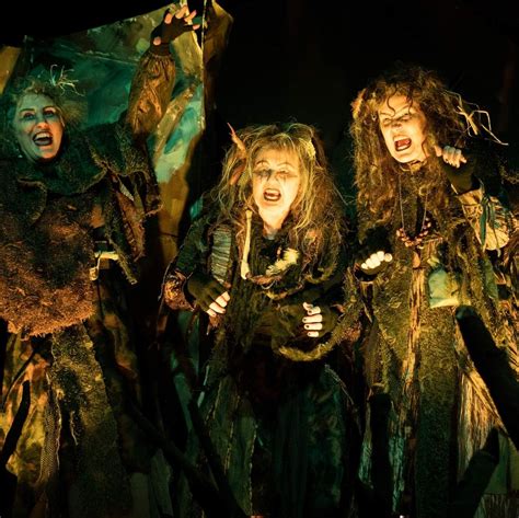 The Three Witches, also known as the Weird Sisters or Wayward Sisters ...