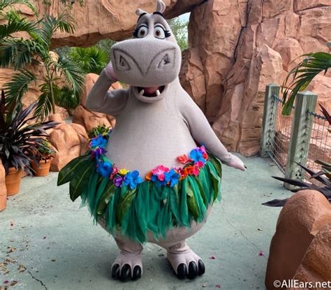 VIDEO: Madagascar’s Gloria Waddles Into Universal and We Can’t Stop ...