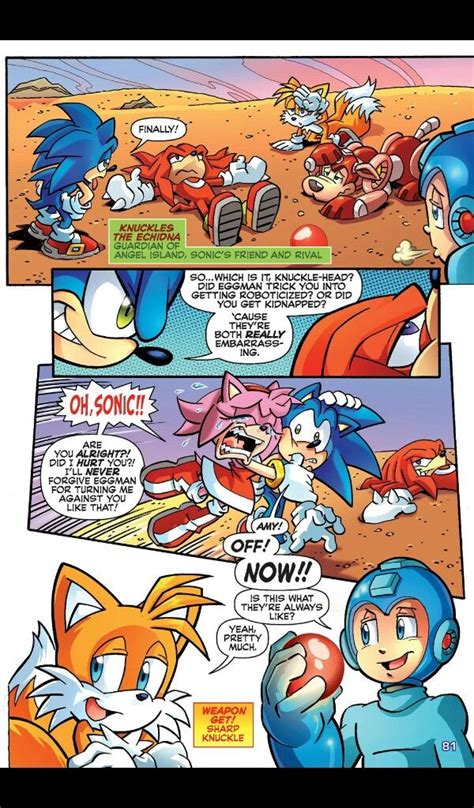 Amy Rose reunited with Sonic, Archie Comics | Sonic funny, Sonic, Sonic ...