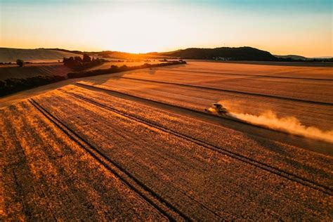 Premium Photo | Combine harvester agriculture machine harvesting golden ripe wheat field the ...