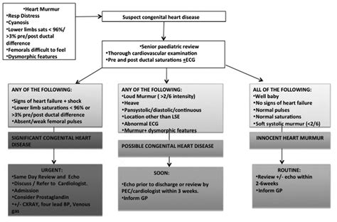 G92(P) Paediatric cardiac murmur guideline for the children’s emergency department | Archives of ...