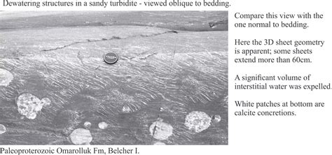 Bouma sequence Archives - Geological Digressions