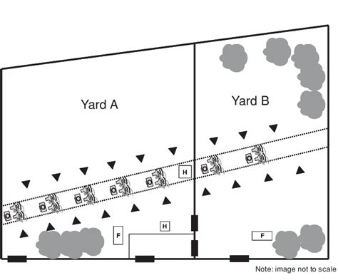 Depiction of the experimental setup using two yards: (A) Macropus rufus ...