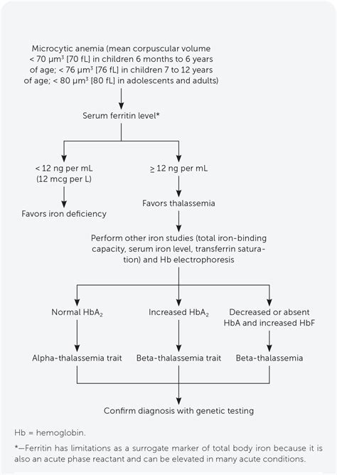 How To Detect Thalassemia - Biteelement14