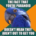 Paranoid Parrot Meme Generator - Imgflip