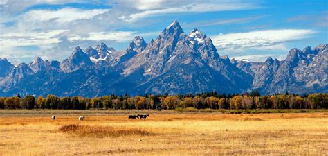 Fall Grand Tetons fin CROP_Web | Good Nature Travel Blog