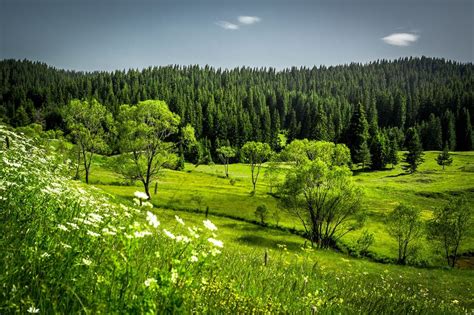 An Insider's Guide to the Rhodope Mountains